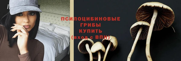 скорость Баксан