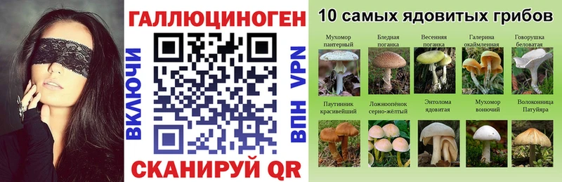 Купить где  Миллерово  Галлюциногенные грибы GOLDEN TEACHER 