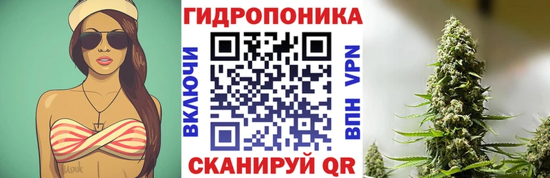 Марихуана Amnesia  Купить закладки  Миллерово 